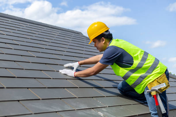 Best Metal Roofing Contractor  in Walthourville, GA