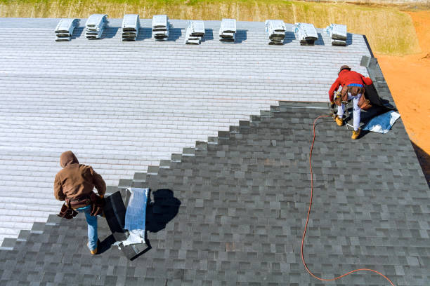 Best Shingle Roofing Installation  in Walthourville, GA