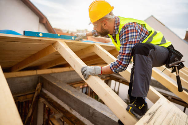 Best Gutter Installation and Roofing  in Walthourville, GA